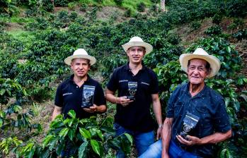 En la finca de Comunidad, practican la agricultura regenerativa y siembran variedades de café como la Catuaí, la Geisha o el Borbón Rosado. FOTO JULIO CÉSAR HERRERA
