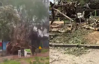 El fenómeno meteorológico que azotó a varios municipios de Sucre y Córdoba durante la noche del sábado dejó daños en viviendas, vías y redes eléctricas, además de una víctima mortal. FOTO: redes sociales/tiktok. 
