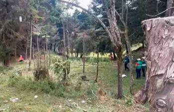 El viernes pasado se dio un rifirrafe entre habitantes de la vereda San Ignacio y quienes cortaban los árboles. FOTO: TOMADA DE VIDEO