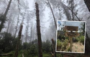 Las víctimas de este hurto llevaban varias horas de recorrido por las zonas verdes de la reserva San Sebastián de la Castellana cuando tres hombres armados los interceptaron y les quitaron celulares, dinero y herramientas que llevaban para facilitar su caminata. FOTOS: CORTESÍA