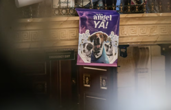 La Ley Ángel fue expedida el 18 de abril de 2025 y lleva el nombre de un perro víctima de crueldad. FOTO: Colprensa