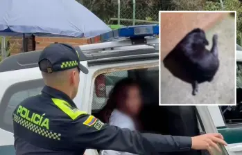 La mujer, de 39 años, será procesada por el delito de maltrato animal, luego de que se conociera del ataque en contra del canino en San Antonio de Prado. FOTOS: CORTESÍA-POLICÍA METROPOLITANA
