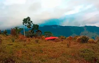 En este sector de la vereda El Singo, de Ituango, se produjo la confrontación armada, luego de que militares evitaran que las disidencias pusieran explosivos en la vía Puerto Valdivia-Hidroituango. FOTO: CORTESÍA