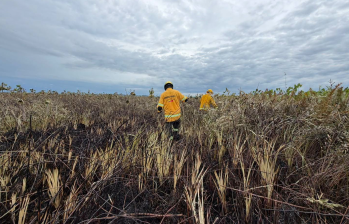 El incendio ocurrió en la Ensenada de Rionegro. Foto: cortesía Alcaldía de Necoclí.