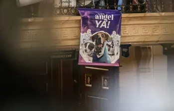 El caso ocurrió en el barrio San Cayetano, de Manizales, y es investigado como presunto maltrato animal bajo la Ley Ángel. FOTO: Colprensa