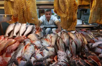 Comerciantes de pescado en la Plaza Minorista José María Villa, en Medellín, reportan menores ventas durante la Semana Santa, pese al aumento en la oferta y al crecimiento del consumo anual impulsado por la acuicultura. FOTOS manuel Saldarriaga