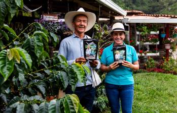 La finca El Porvenir recibe grupos de estudiantes, turistas y extranjeros interesados en conocer el proceso del café desde la siembra hasta la taza. FOTO Julio César Herrera. 