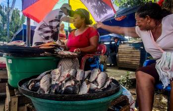 Ventas callejeras de alimentos se constituyen en un alternativa laboral en diversas partes del país. FOTO EL COLOMBIANO