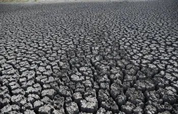 El calor no va a parar: la temperatura del planeta seguiría rompiendo récords hasta 2030
