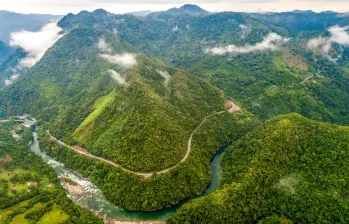 Los bosques y ríos del Oriente antioqueño conforman uno de los sistemas ambientales más importantes de Antioquia. FOTO: EL COLOMBANO