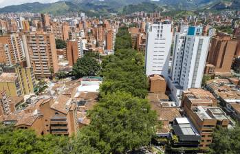 Panorámica de la avenida jardín entre el primer y el segundo parque del barrio Laureles en el occidente de Medellín, por donde transcurren corredores verdes. Foto: EL COLOMBIANO