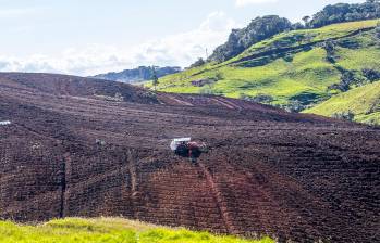 La agricultura movió la economía colombiana durante julio de 2024. FOTO JUAN ANTONIO SÁNCHEZ