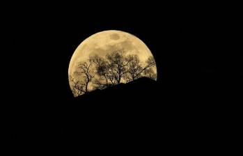 Ilustración de un asteroide cercano que comparte la órbita de la Tierra alrededor del Sol sin estar ligado gravitacionalmente al planeta. FOTO AFP