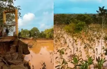 Hay alerta en la vereda La Comarca, en Necoclí, donde el alcalde Guillermo José Cardona Moreno, junto a campesinos del sector, advirtió sobre el inminente colapso del puente colgante sobre el río Mulato. FOTO: Cortesía Alcaldía de Necoclí
