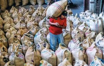La actual situación hace pensar en 2023, año extremadamente lluvioso y con menos horas de luz de las necesarias, cuando los cafeteros recolectaron si acaso entre un 30% y un 40%. FOTO Julio César Herrera