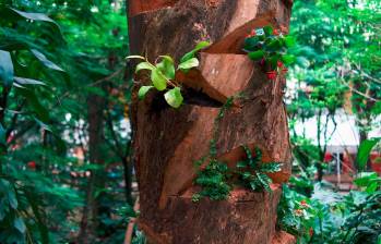 Así se hizo la adecuación del tronco del árbol intervenido en el sector de Provenza para continuar generando ecosistemas en la zona. FOTO: CORTESÍA ALCALDÍA DE MEDELLÍN