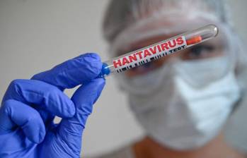 En diferentes países de Europa están realizando vigilancia epidemiológica por el posible brote del hantavirus en un vuelo de KLM. FOTO: Joao Luiz Bulcao / Hans Lucas via AFP.