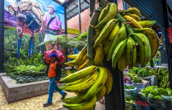 La Plaza de Mercado Antioquia en el municipio de La Ceja es uno de los lugares donde llega una cantidad importante de los productos que surgen del Oriente. Foto: Manuel Saldarriaga Quintero.