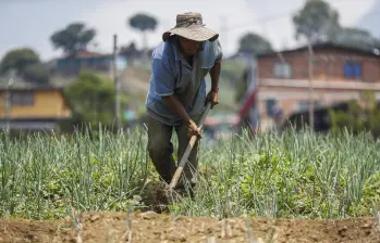 Distintos sectores del agro reclaman medidas urgentes para proteger el sustento de millones de familias rurales. Foto: Manuel Saldarriaga