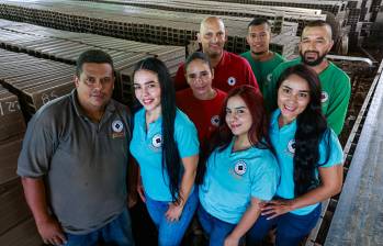 La empresa no solo es un dinamizador económico de la región, sino que también ha acogido población migrante. FOTO Manuel Saldarriaga