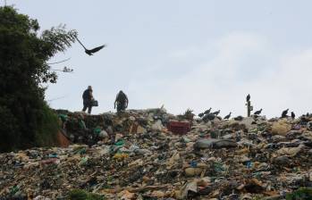 En múltiples municipios de Antioquia se buscan alternativas para reducir la presión sobre los rellenos sanitarios y aprovechar los residuos. FOTO JAIME PÉREZ