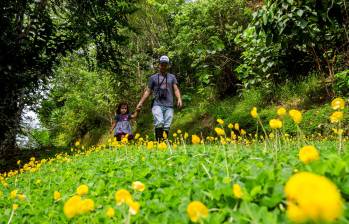 La Reserva Agroecológica Los Monos se destaca como un modelo de sostenibilidad en la región. La combinación de conservación ecológica y producción agrícola sostenible demuestra que es posible vivir en armonía con la naturaleza. Foto: Julio César Herrera