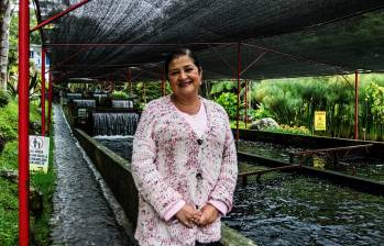 Jardín cuenta hoy con 11 trucheras, pero La Truchería fue una de las primeras en operar y en abastecer a toda la región del Suroeste antioqueño. FOTO Julio César Herrera. 