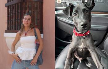 Durante la emergencia invernal en Córdoba, decenas de voluntarios, veterinarios, fundaciones e influencers participaron en jornadas de rescate y traslado de animales afectados por las inundaciones. FOTO: redes sociales, Camila Reyes Londoño y Patrulla Criolla.
