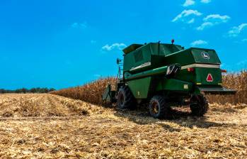 Más del 80% de los granos que consume Colombia provienen del exterior, una tendencia que se profundizó en 2025 con el aumento de las importaciones. FOTO cortesía Fenalce
