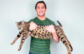 Fenrir, el gato que batió el récord Guinness por su tamaño