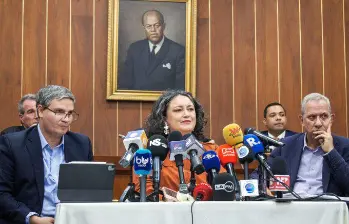 La Comisión Cuarta del Senado dará inicio al tercer debate del proyecto, y lo hará con dos ponencias en discusión. FOTO: Cortesía
