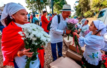 En Santa Elena, cada año, el Trueque de Flores nos recuerda que la verdadera esencia de la Feria no está en el desfile final, sino en el cuidadoso y emotivo proceso que lo antecede, en la manos de quienes dedican su vida a cultivar la belleza y a celebrar la tradición. Foto: Manuel Saldarriaga Quintero