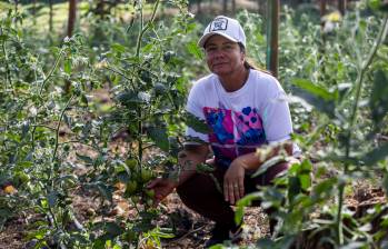 Son 10 las que impulsan la Asociación de Mujeres Emprendedoras de Carolina del Príncipe, entidad que lidera Marina Restrepo. FOTO Julio César Herrera