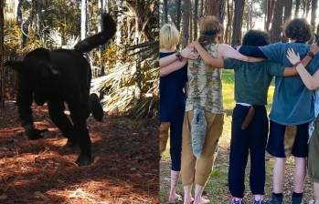 La comunidad therian comenzó a organizarse en foros de internet en la década de 1990, donde encontró un espacio para compartir experiencias e identidad lejos del estigma social. FOTO: Redes sociales. 