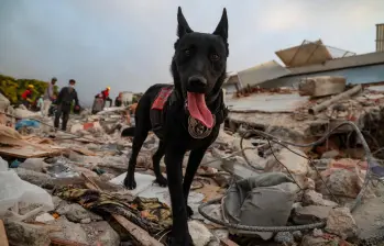 Los terremotos que sacudieron a Venezuela el pasado 24 de junio han dejado más 16.000 heridos. FOTO Getty. 