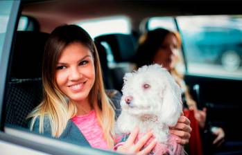 Uber Pet ya está disponible en Medellín y Bogotá. Foto Getty.