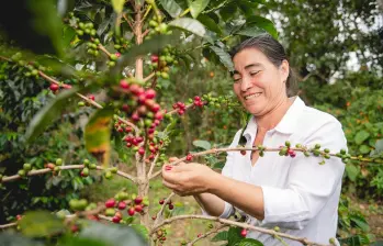 Hoy el 31% de los caficultores en Colombia son mujeres, una cifra significativa que muchas veces pasa desapercibida en un sector históricamente asociado con los hombres. FOTO: Cortesía Nesspreso.