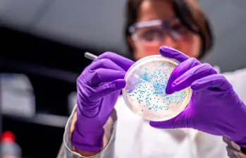 El estudio se hizo en ratones, pero es punto de partida para futuros ensayos clínicos en humanos. FOTO: Getty