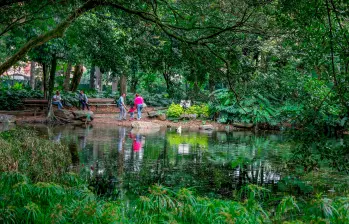 Biofilia es un término acuñado por el biólogo Edward O. Wilson para referirse a la necesidad emocional profunda de estar en contacto con el resto de seres vivos. FOTO Juan Antonio Sánchez