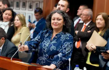 Lozano radicó que el proyecto no tenía en cuenta a los informales. “Medio país olvidado: los que viven del rebusque y ganan menos del mínimo no existían”. FOTO: CORTESÍA 
