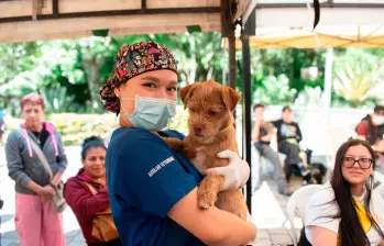 Las jornadas de bienestar incluyen esterilización, desparasitación y atención veterinaria básica para perros y gatos del Valle de Aburrá. FOTO cortesía Área Metropolitana del Valle de Aburrá