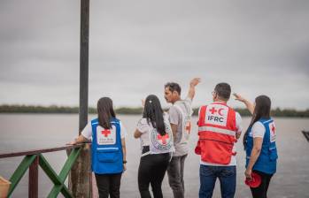El Comité Internacional de la Cruz Roja (CICR) detalló la situación del conflicto armado en Colombia en su balance anual humanitario del país. FOTO: Comité Internacional de la Cruz Roja (CICR)