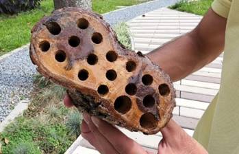 Con estructuras de este tipo buscan darle acogida a las abejas de la zona en la Universidad de Medellín. FOTO: Cortesía Universidad de Medellín