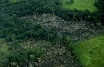 Tanto las zonas boscosas del Amazonas como a nivel global, vienen sufriendo deforestación e incendios, acabando con la capa verde de los territorios. FOTO: EUROPA PRESS