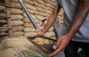 La trilla de café fue la actividad industrial de mayor variación en marzo, en Colombia. FOTO Camilo Suárez