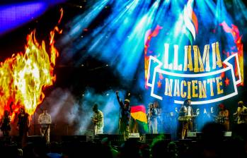 Este festival se ha consolidado como uno de los más relevantes en la escena musical del país, especialmente en los géneros de rock, punk, metal, hip-hop, reggae y música alternativa. Foto: Camilo Suárez Echeverry