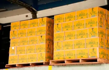 Aguardiente Amarillo de Manzanares ya llegó a a Antioquia. FOTO CORTESÍA. 