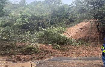 Así quedó el paso vial tras el deslizamiento. FOTO: Cortesía