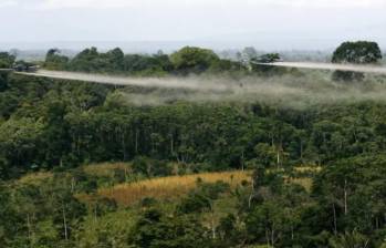El gobierno De la Espriella ha propuesto volver a utilizar la fumigación aérea, pero deben cumplirse varios requisitos. Foto: Reuters