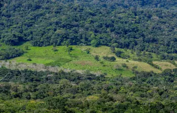 Deforestación de la selva en San José del Guaviare, Guaviare. FOTO: JUAN ANTONIO SÁNCHEZ.